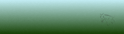 Mobiler Banner von Reiterhof & Pferdepension Hackenesch